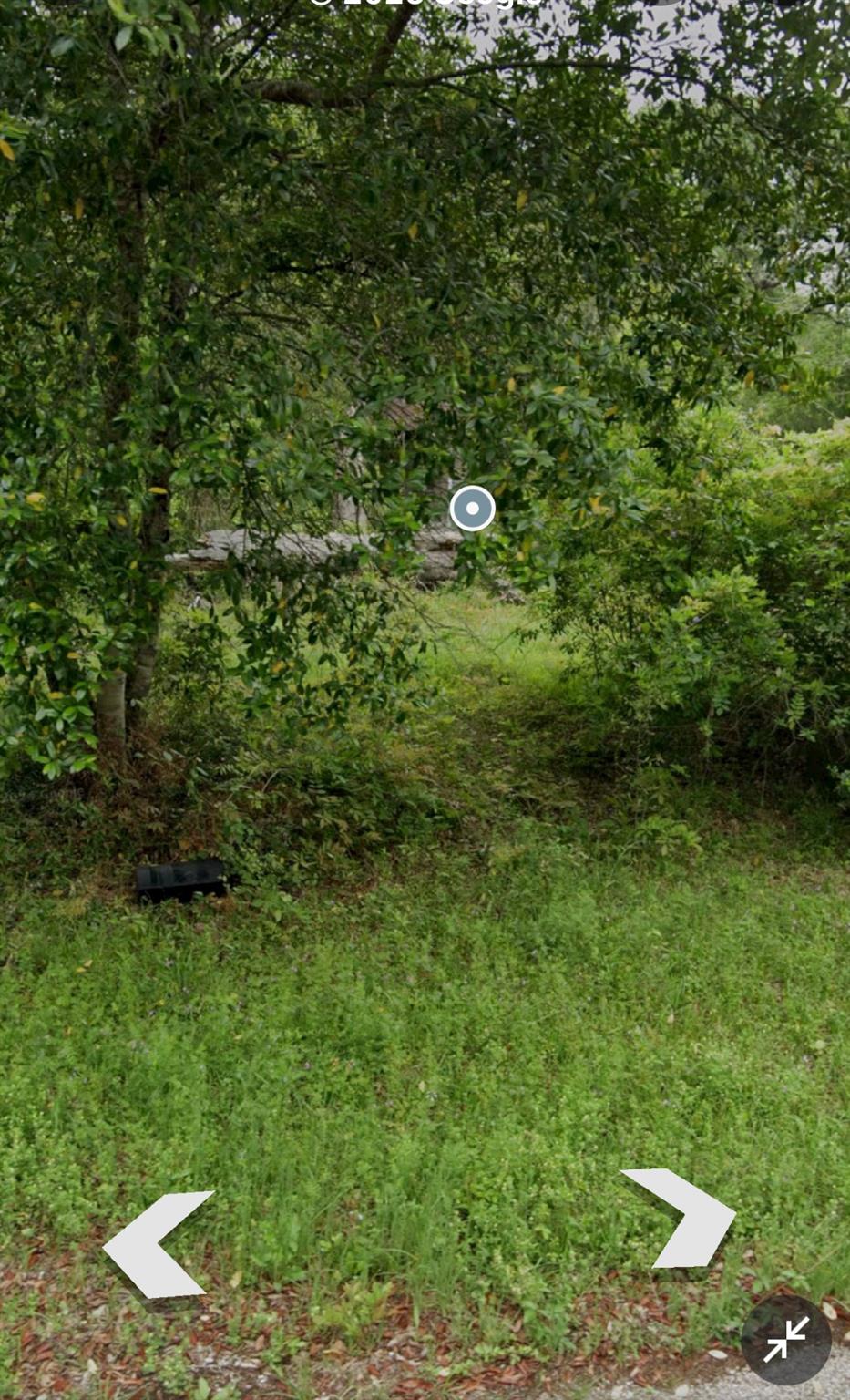 Splendora, Texas 77372, United States, ,Land,Active,197535