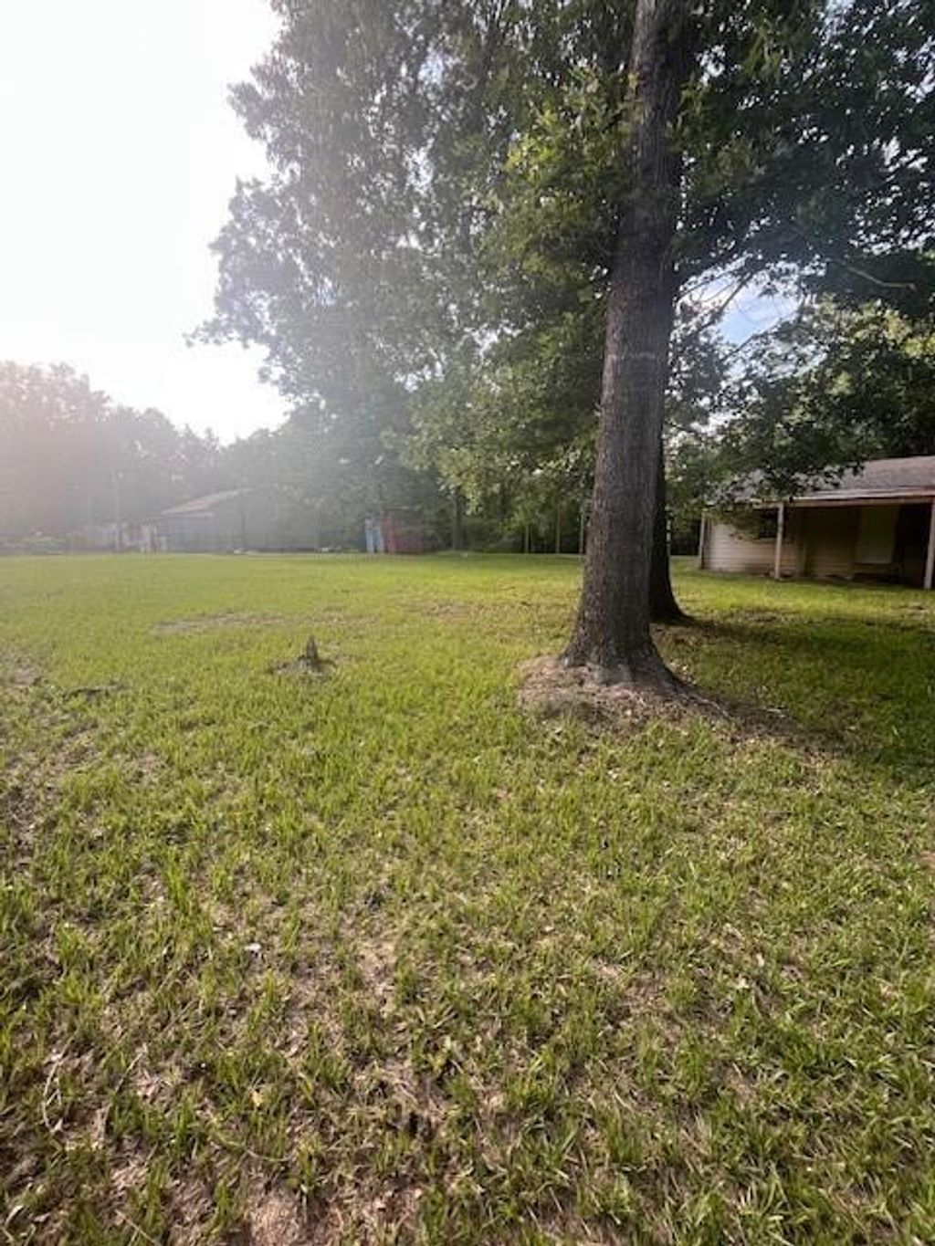 Photo of 411 Richard Street, Coldspring, TX 77331 (MLS # 96259118)
