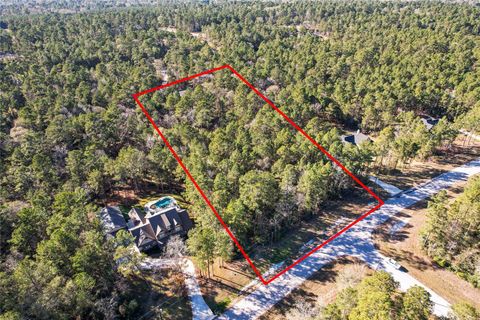 Photo of 160 Brahman Lane, New Waverly, TX 77358 (MLS # 20279530)