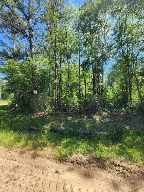 Photo of 3 Cindy Lane, Shepherd, TX 77371 (MLS # 77153072)