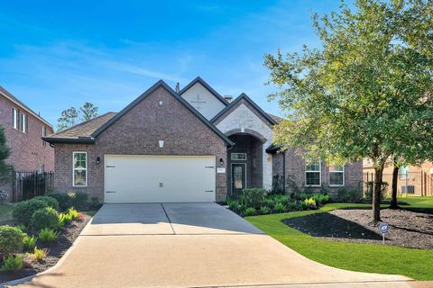 Photo of 51 Prairie Falcon Pl, The Woodlands, TX 77389 (MLS # 78947221)
