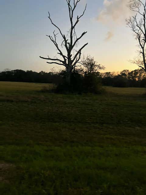 Vacant Land For Sale - 1007 Chuckwagon Trail<br/> Brazoria County, Angleton, TX 77515
