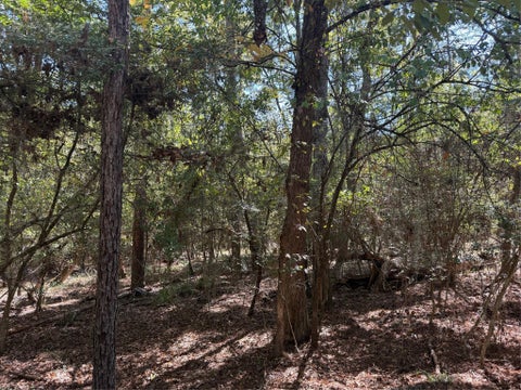 Photo of TBD Poland Spring Court, Huntsville, TX 77320 (MLS # 83209356)