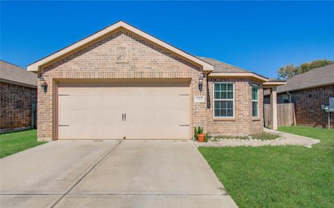 Photo of 1315 Diamond Drape Drive, Rosharon, TX 77583 (MLS # 86235983)