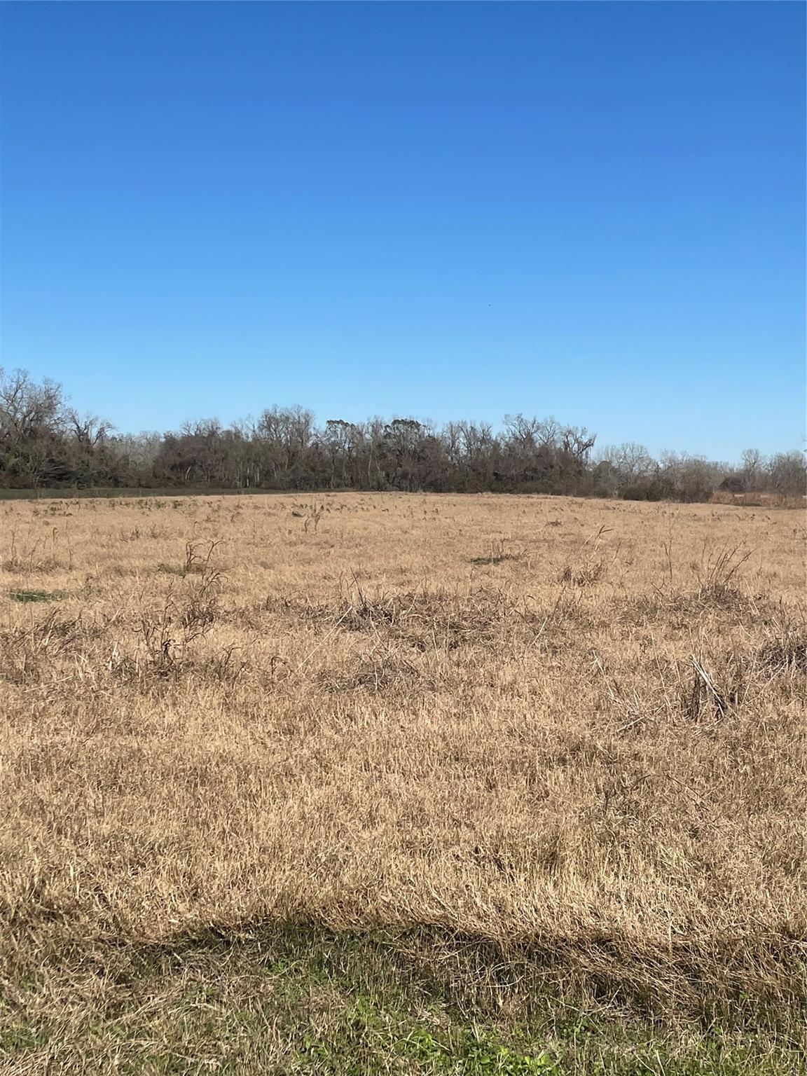 000 County Road 224
