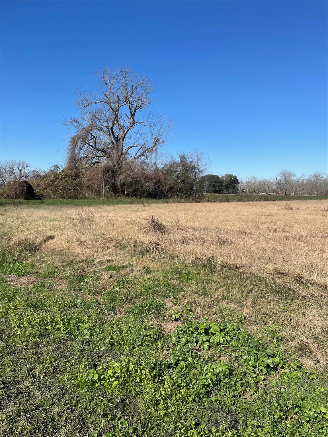 000 County Road 224