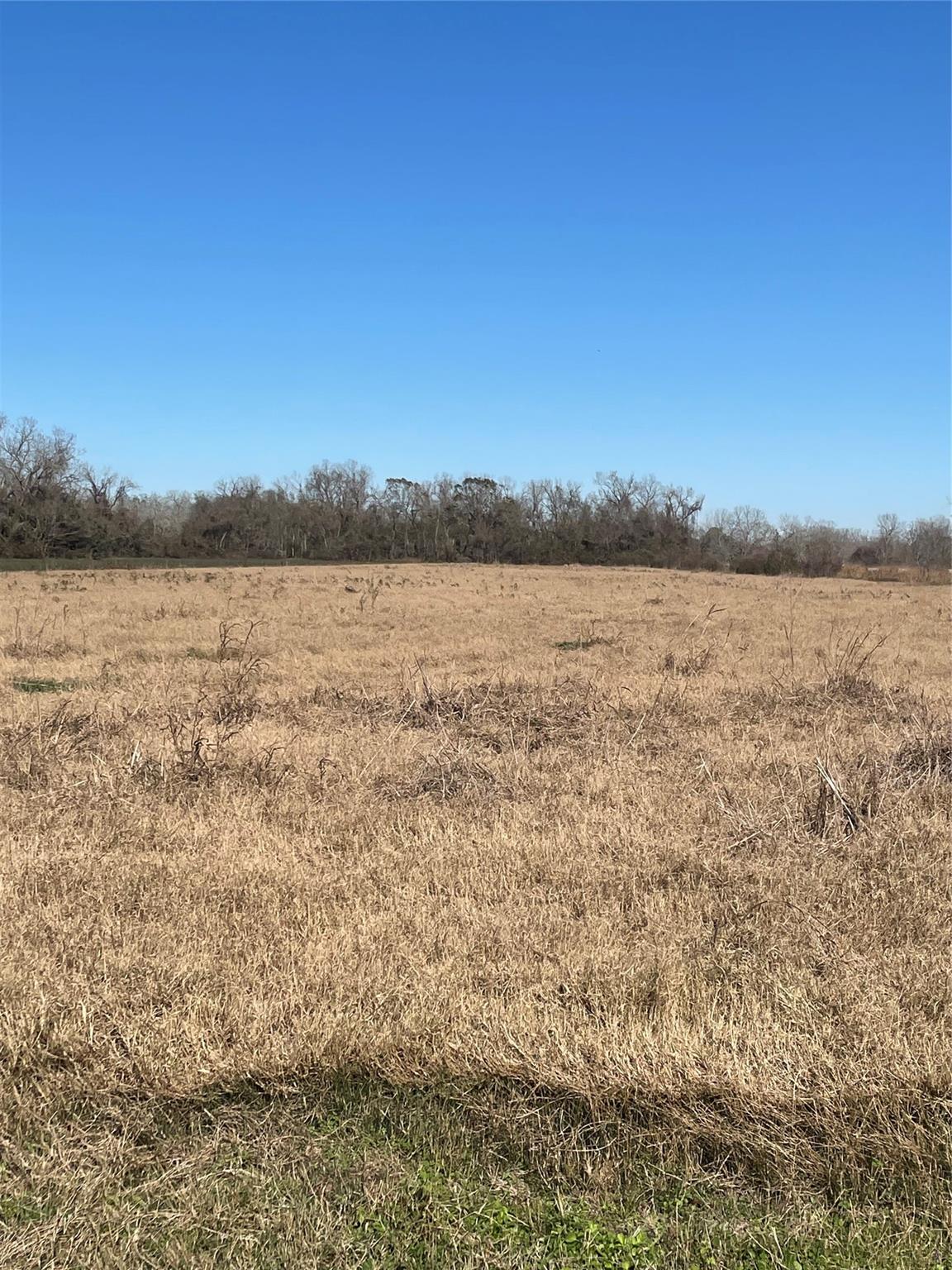 000 County Road 224