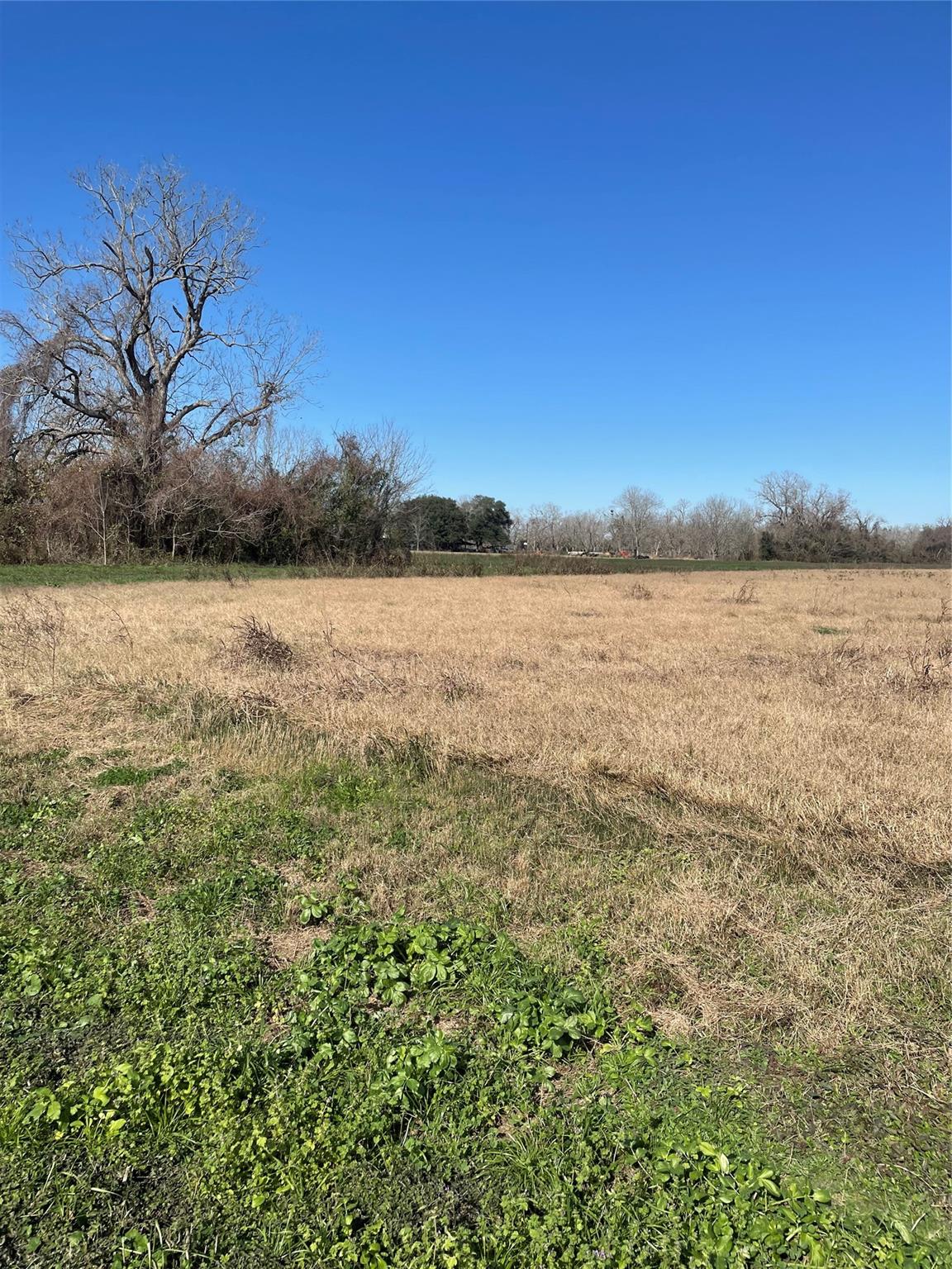 000 County Road 224