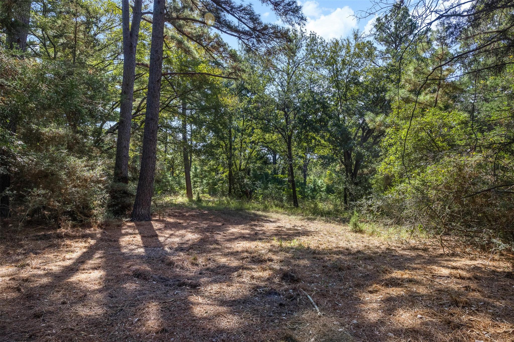 3180 Farm To Market 1940