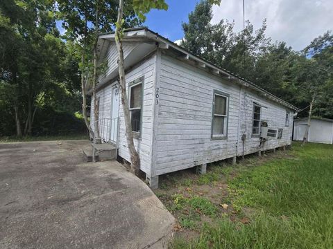 Photo of 203 Cedar Circle, Daisetta, TX 77357 (MLS # 13195093)