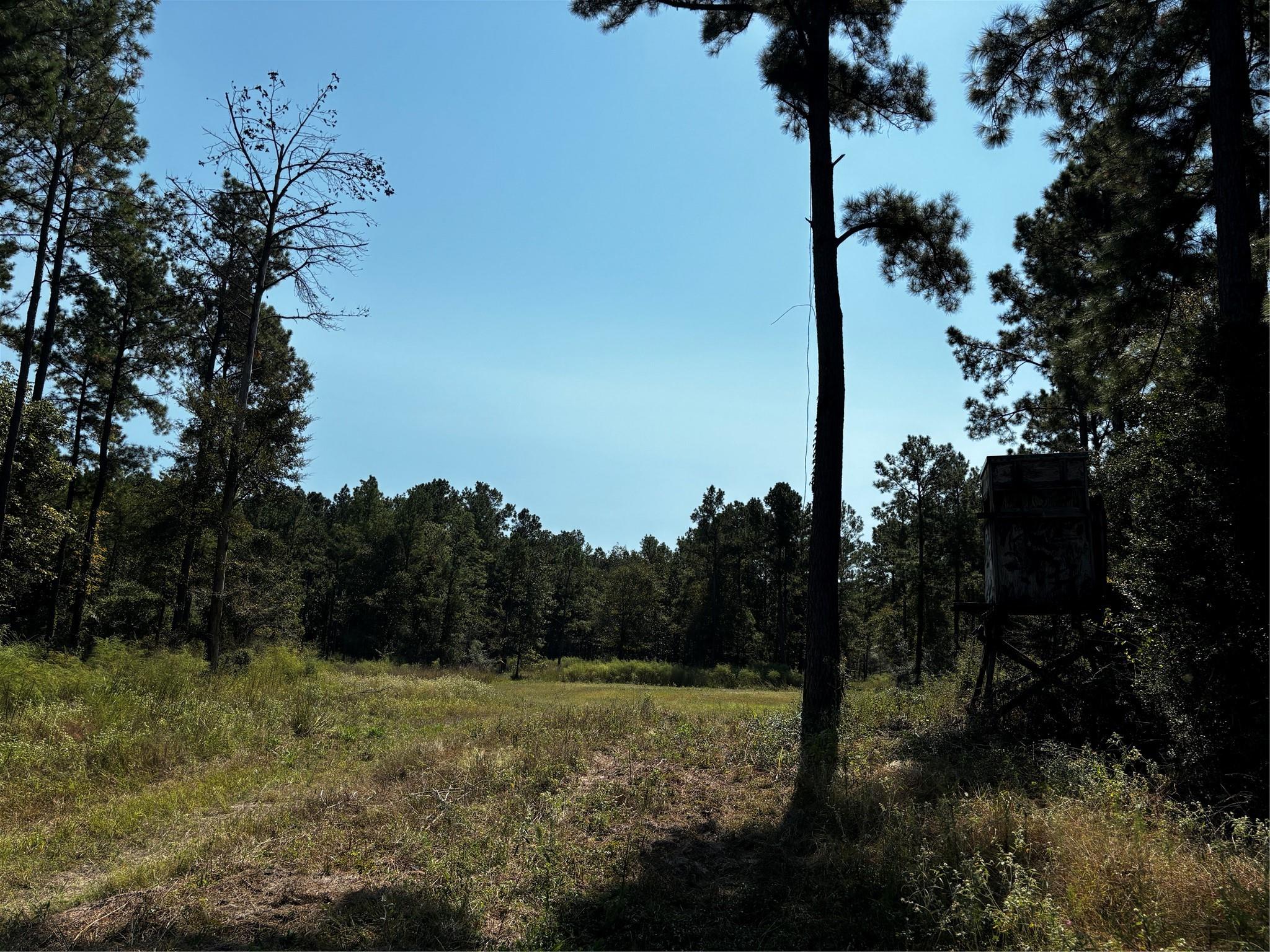 Tract 5 Trinity Lady Park Road