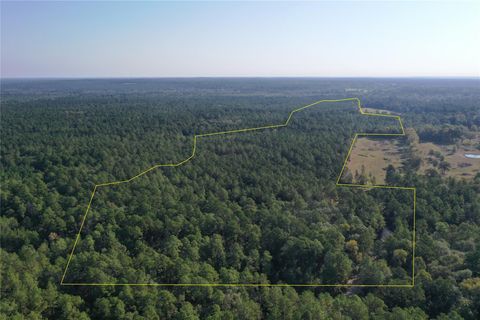 Vacant Land For Sale - TRACT 5 Trinity Lady Park Road<br/> Trinity, TX 75862