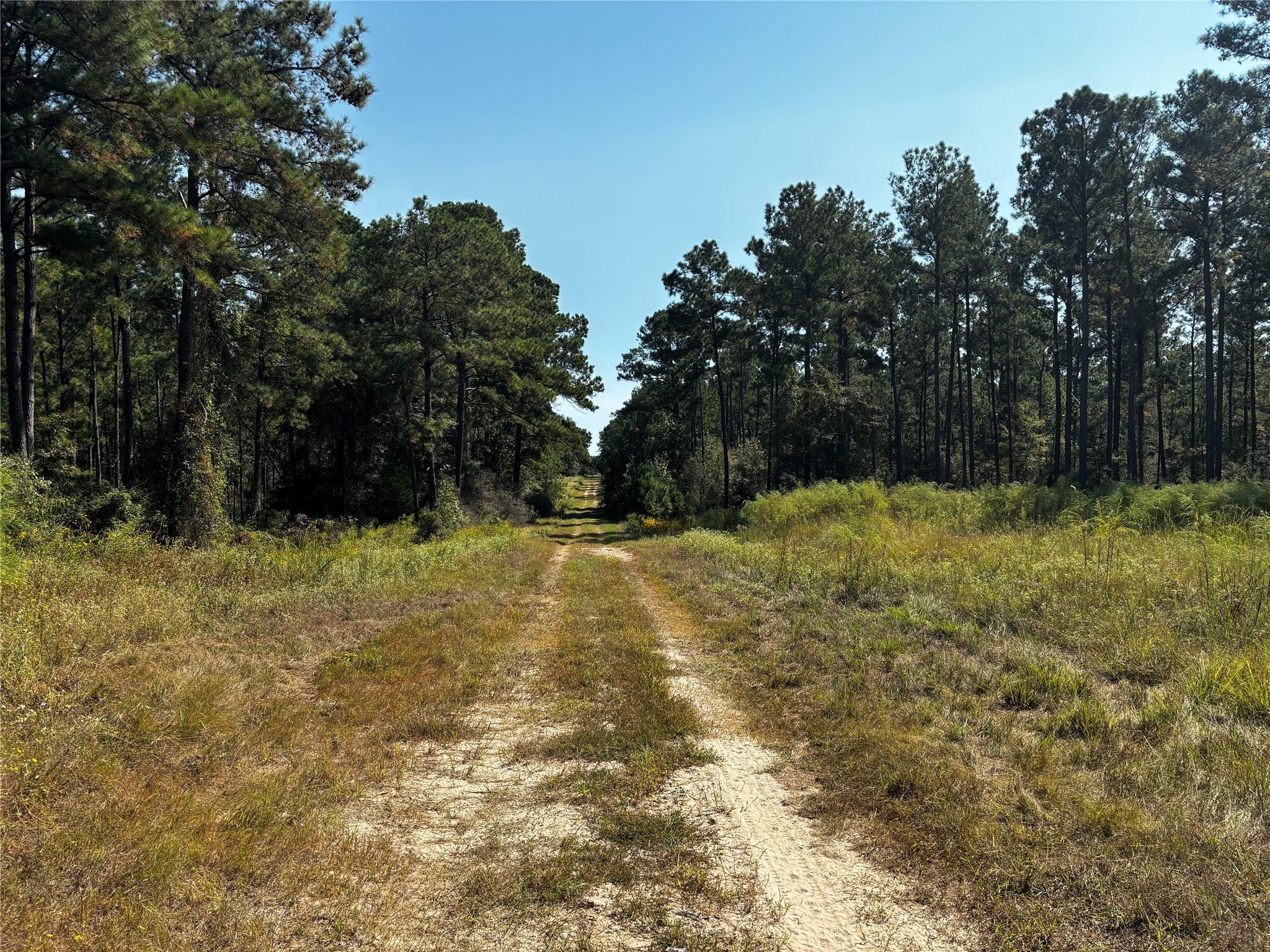 Tract 5 Trinity Lady Park Road