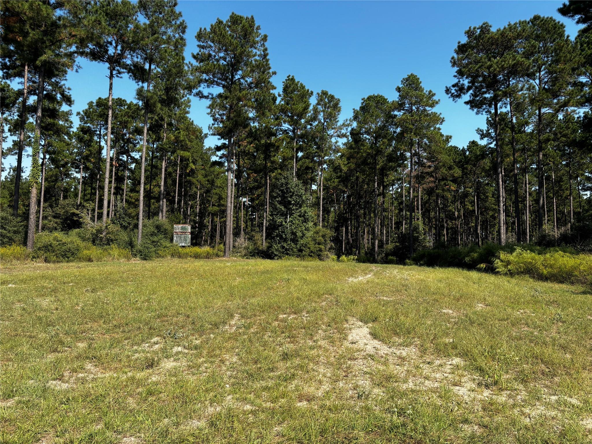 Tract 5 Trinity Lady Park Road