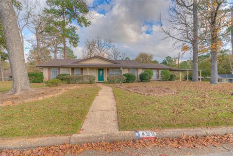 Photo of 458 E Lake Drive, Livingston, TX 77351 (MLS # 80570210)