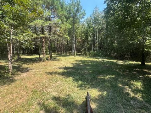 Vacant Land For Sale - TBD Fm-223<br/> Shepherd, TX 77371