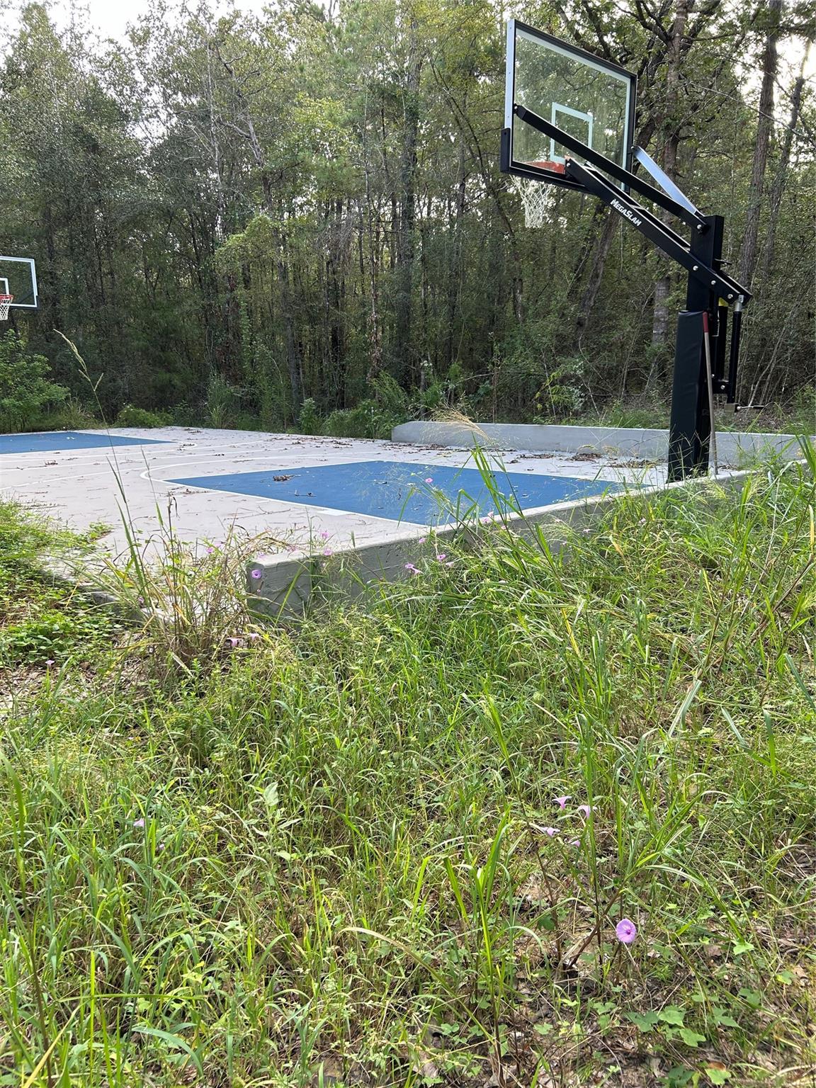 23514 Saratoga Woods Drive