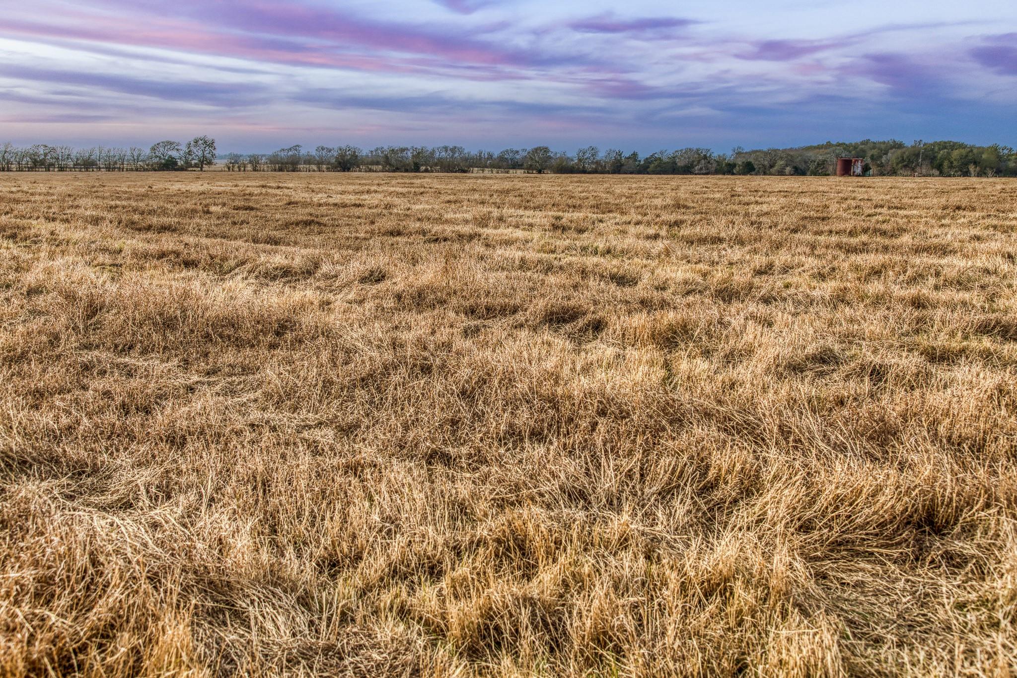 10444 County Road 318