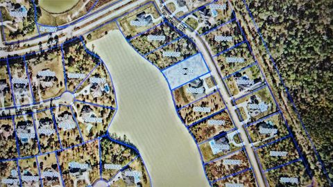 Photo of 27587 S Lazy Meadow Way, Spring, TX 77386 (MLS # 21255864)