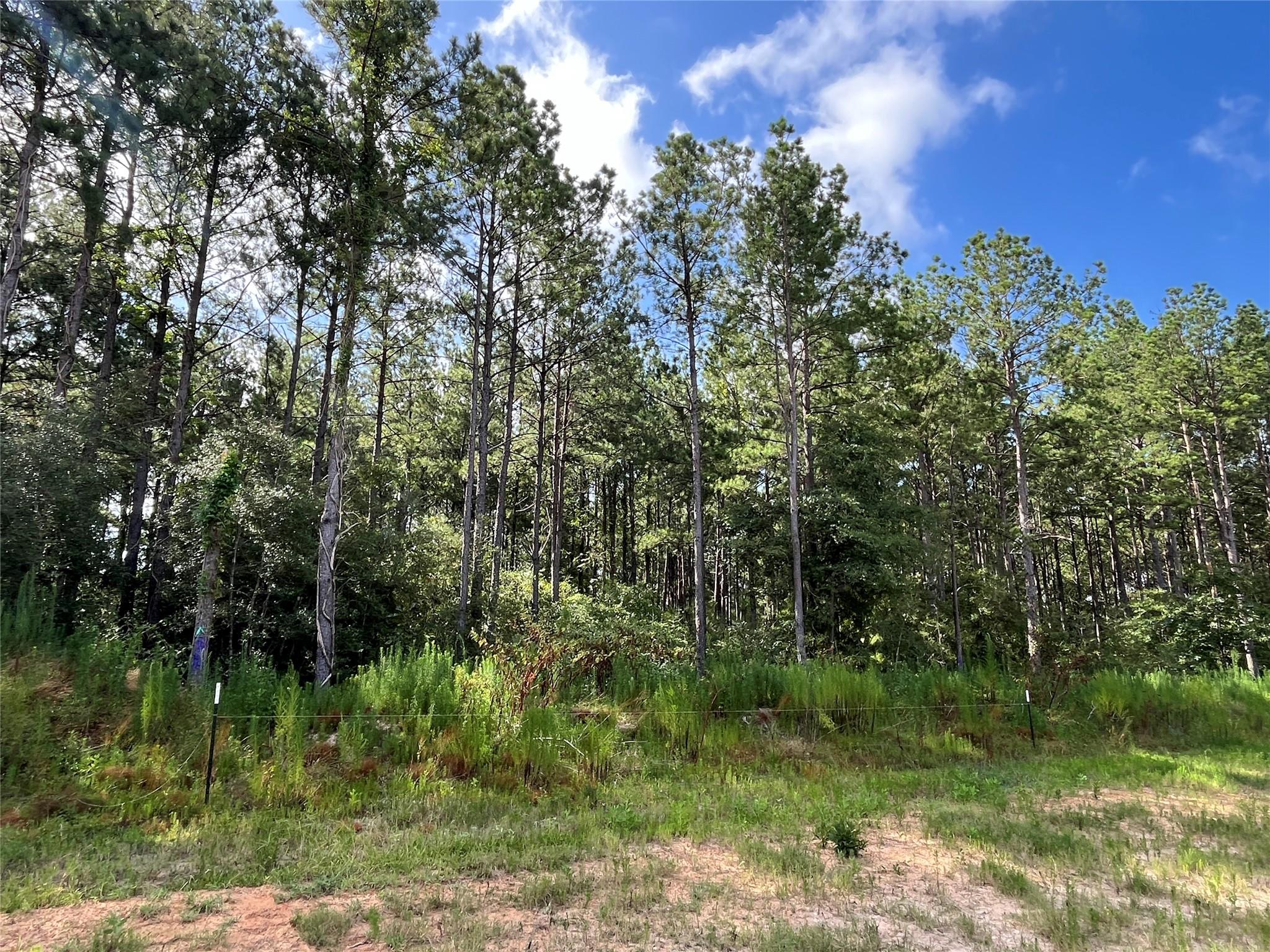 15422 Forest Grove Drive