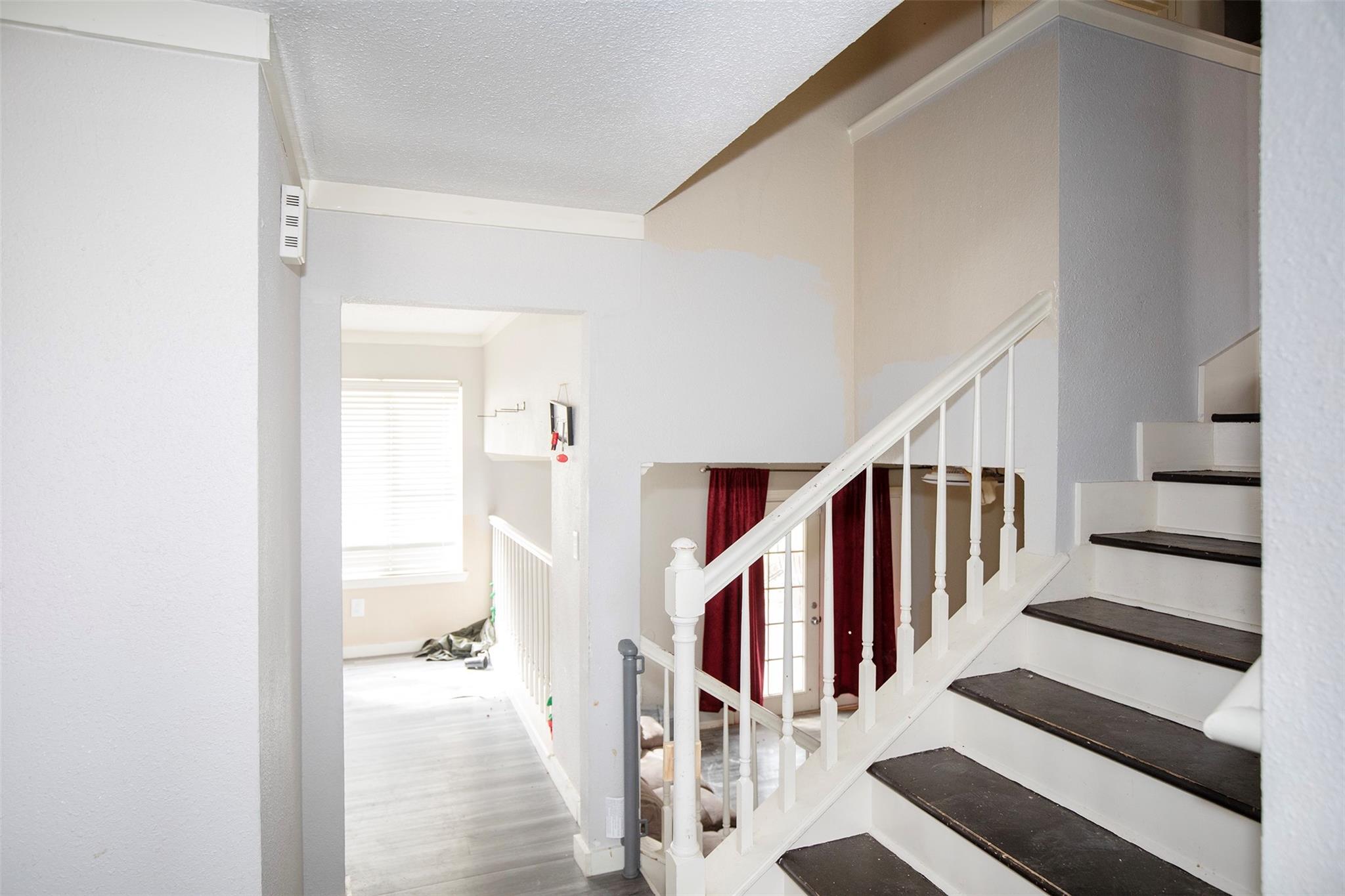 5203 Bear Pass Court