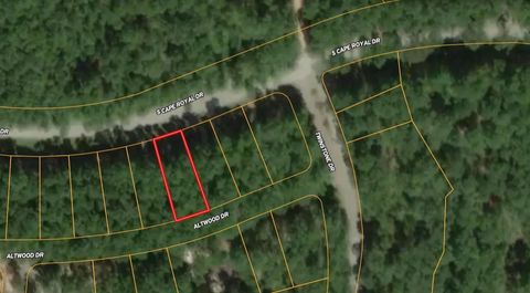 Photo of 14 Altwood Drive, Coldspring, TX 77331 (MLS # 70331612)