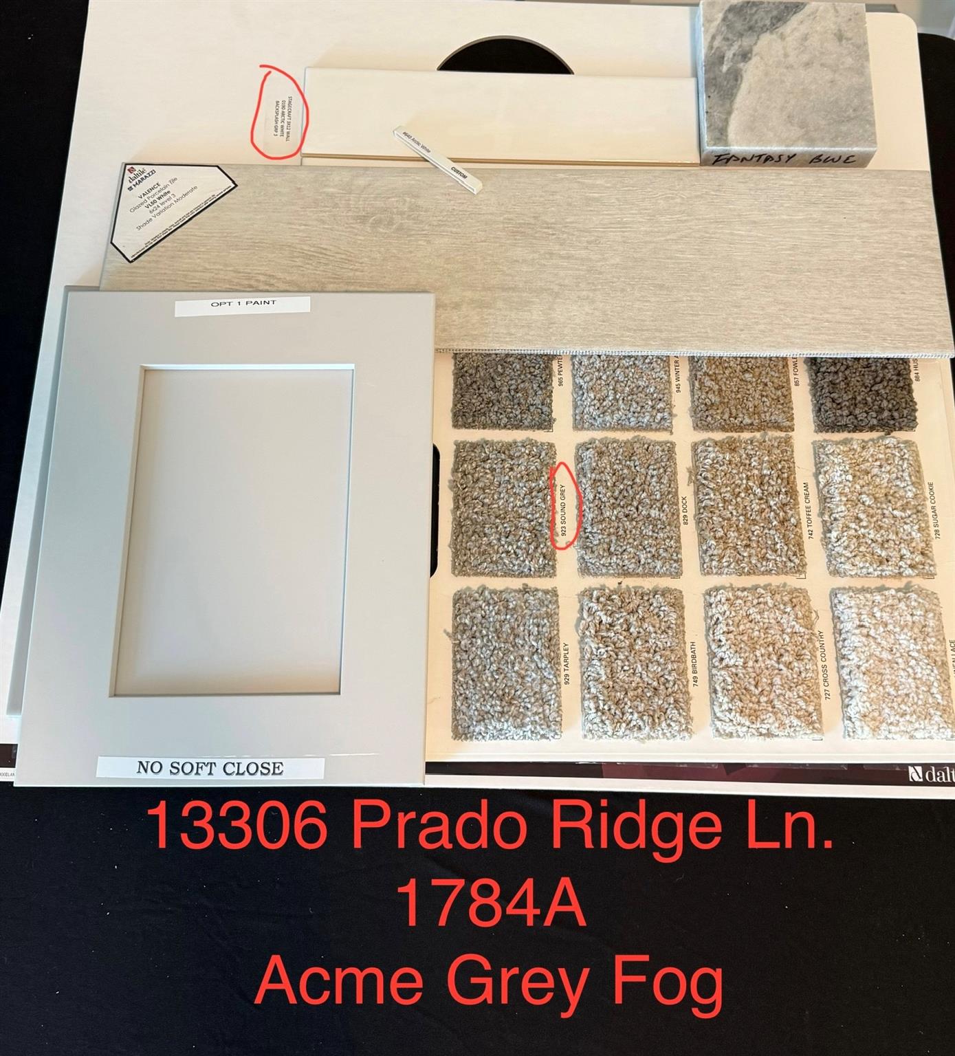 13306 Prado Ridge Lane