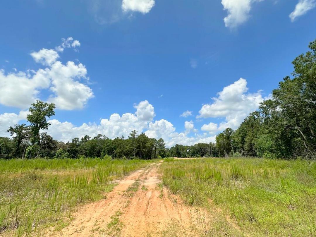 25930 Grand Pines