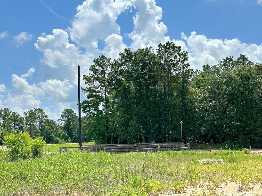 25930 Grand Pines