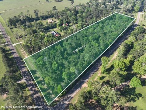 Photo of 1 Fm 2610, Livingston, TX 77351 (MLS # 38109615)