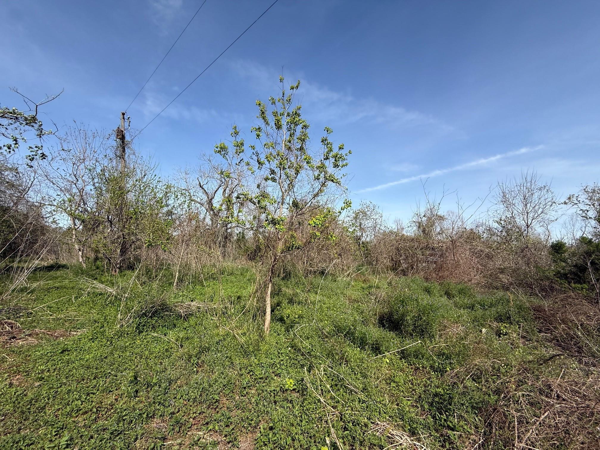 0 County Road 613