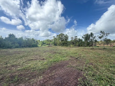 Photo of 0 County Road 613, Angleton, TX 77515 (MLS # 71429034)