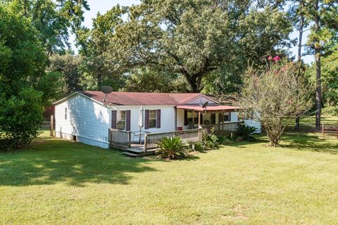 Photo of 219 Beau Lane, Goodrich, TX 77335 (MLS # 57140915)