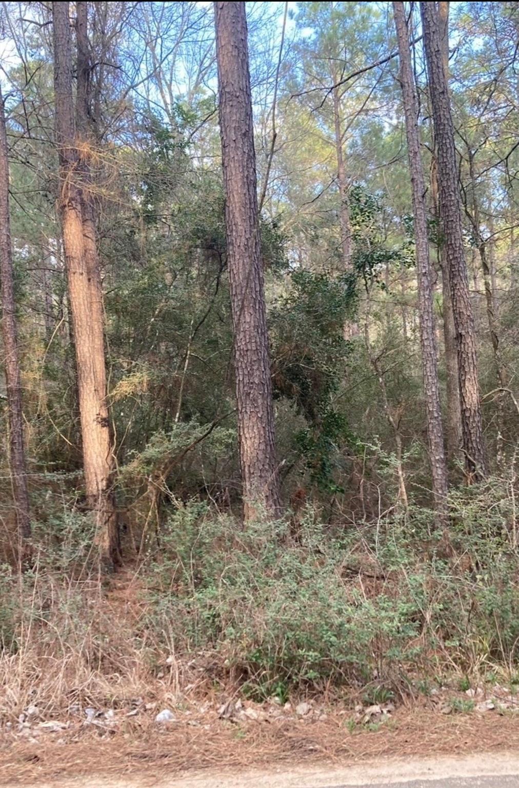 0 Pinebrook Lot 77