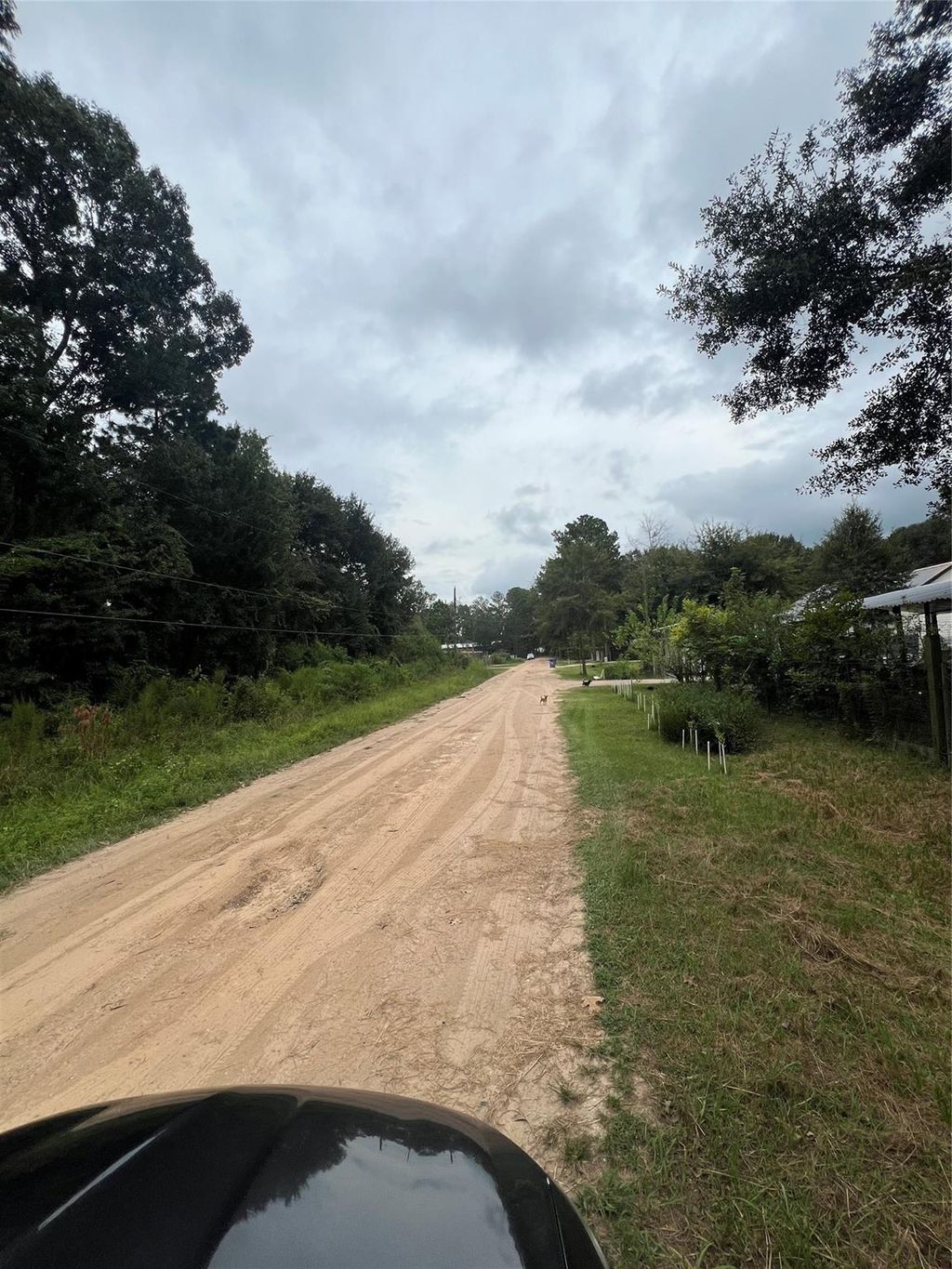 Photo of 25688 York Ct, New Caney, TX 77357 (MLS # 28467469)