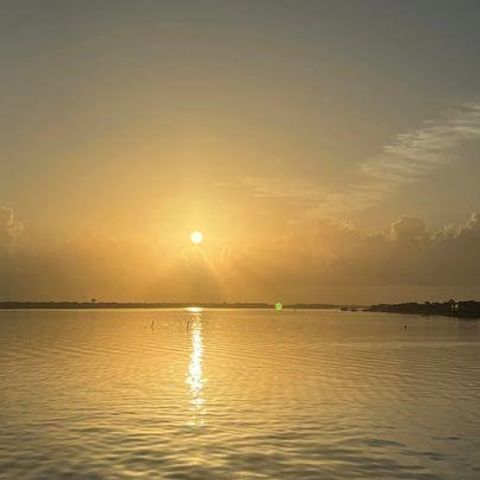 Photo of 401 Lakeside Lane #203, Houston, TX 77058 (MLS # 75346764)