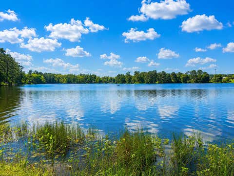 Tiny photo for 12789 Royal West Drive, Conroe, TX 77303 (MLS # 81700620)