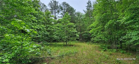 Vacant Land For Sale - TBD County Road 3230<br/> Red River County, Clarksville, TX 75426