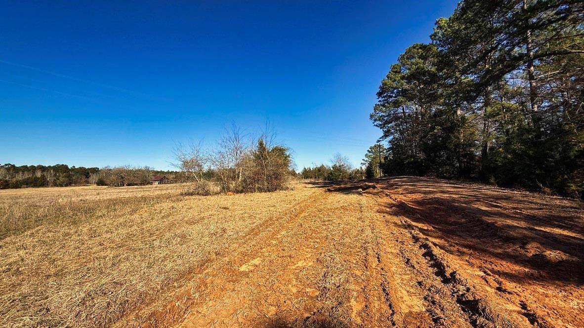 TBD #5 County Road 477 Parcel 5