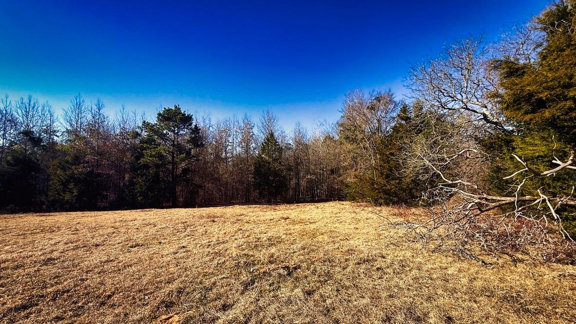 TBD #5 County Road 477 Parcel 5