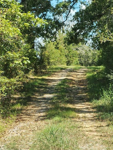 Photo of 17454 Fm 542, Oakwood, TX 75855 (MLS # 65463525)