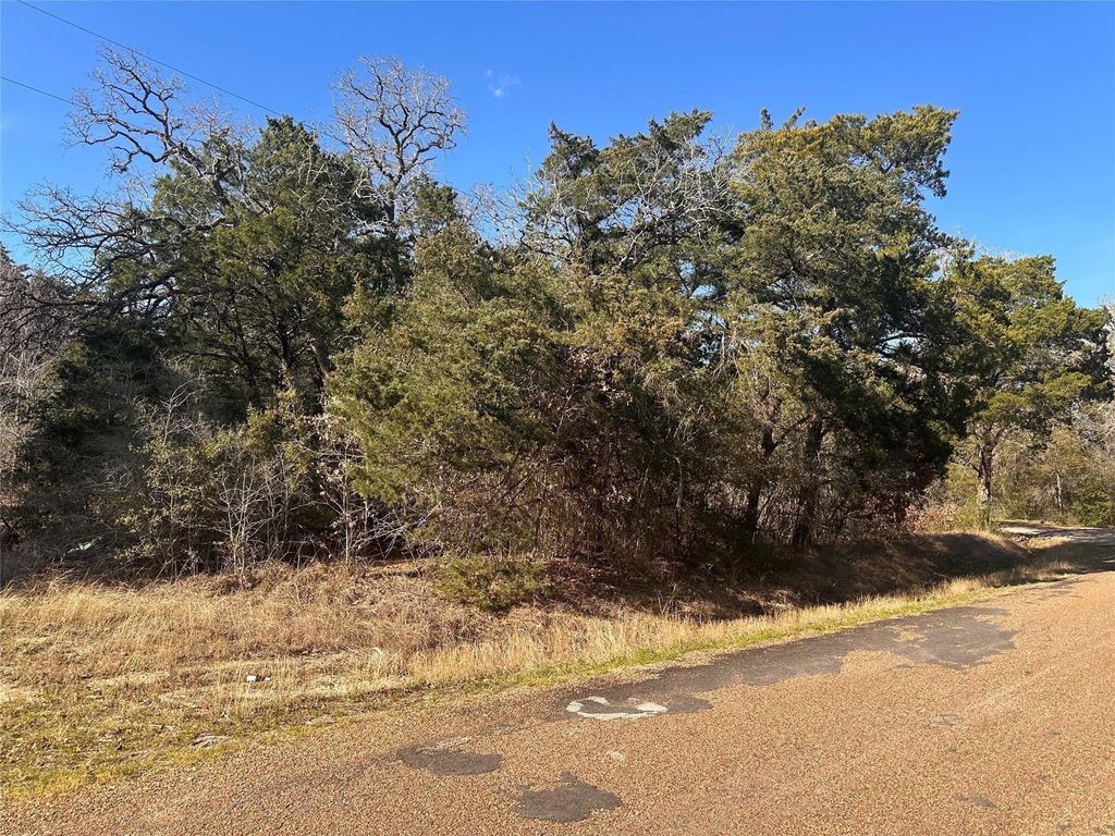 Photo of 145 County Road 411, Somerville, TX 77879 (MLS # 44752897)