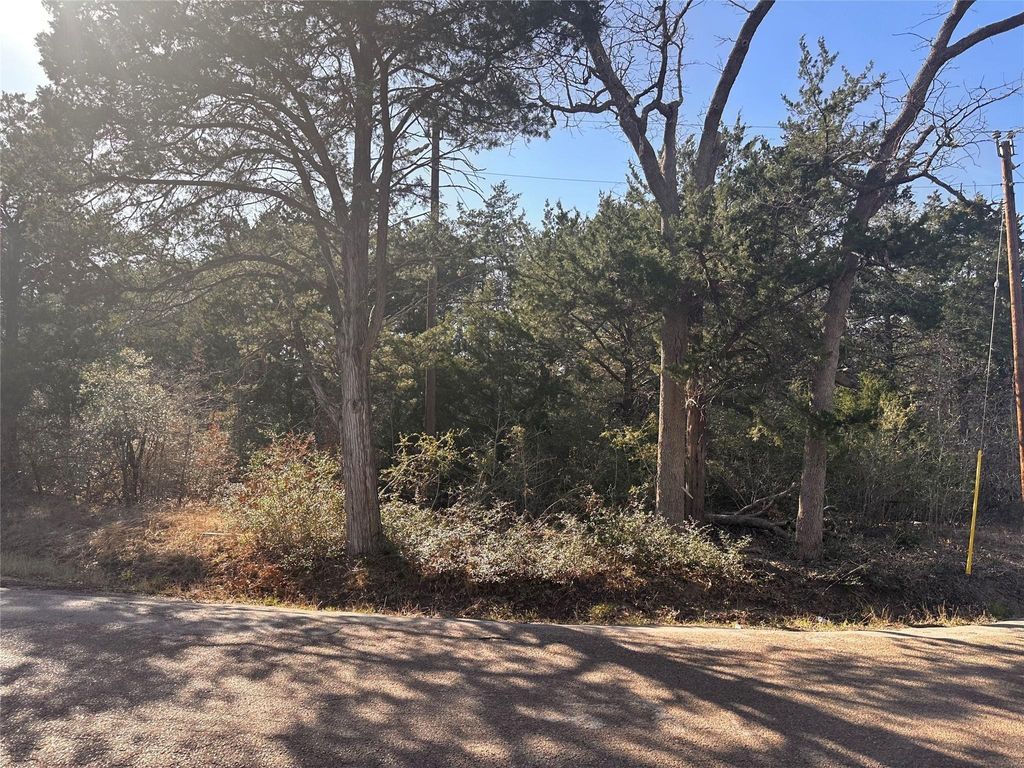 Photo of 145 County Road 411, Somerville, TX 77879 (MLS # 44752897)