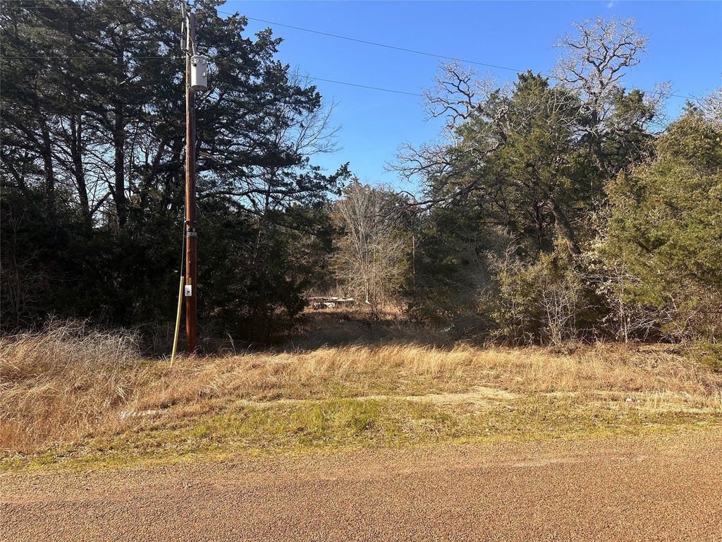 Photo of 145 County Road 411, Somerville, TX 77879 (MLS # 44752897)
