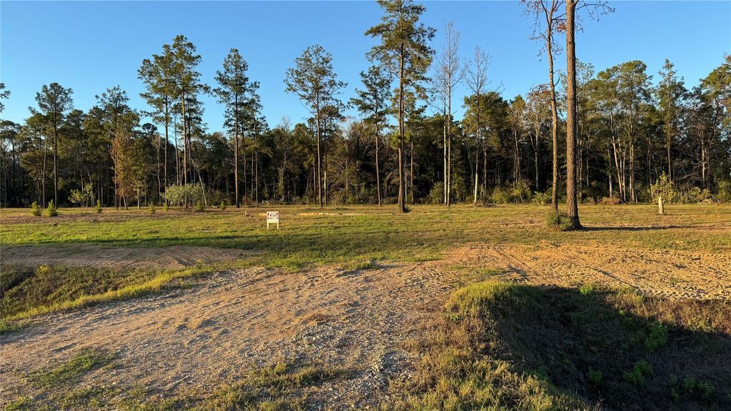 Photo of 20039 Kincaid Drive, Conroe, TX 77306 (MLS # 35892999)