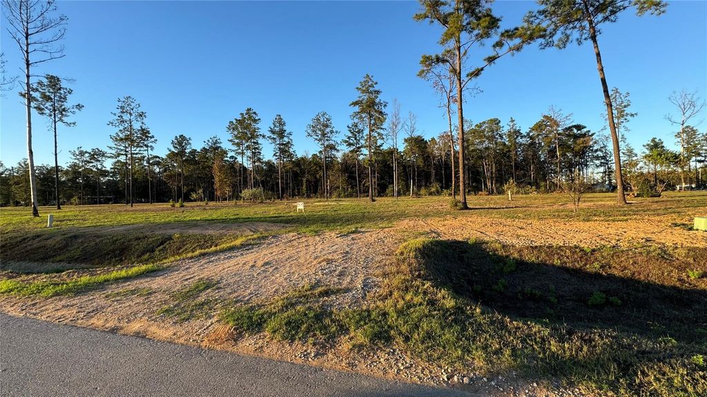 Photo of 20039 Kincaid Drive, Conroe, TX 77306 (MLS # 35892999)