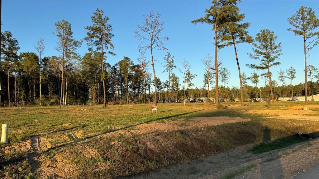 Photo of 20039 Kincaid Drive, Conroe, TX 77306 (MLS # 35892999)