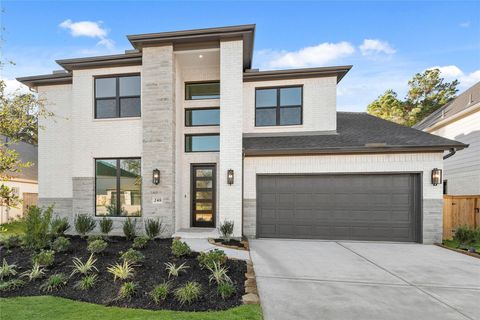 248 Warbler Song Drive Willis TX 77318