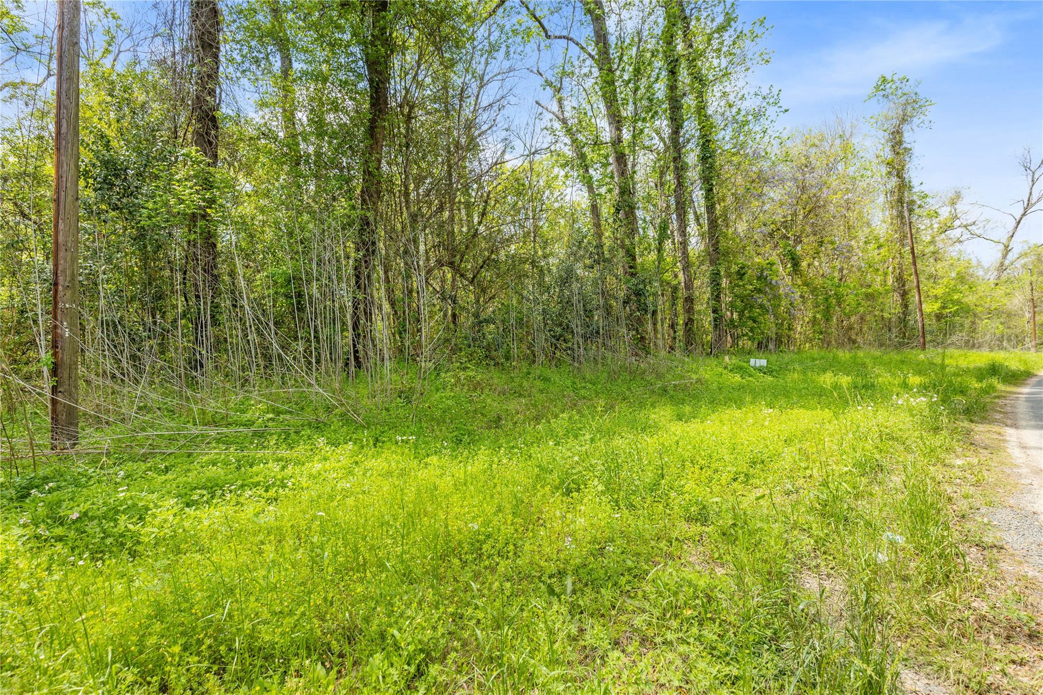 TBD County Road 2859 Phantom Drive