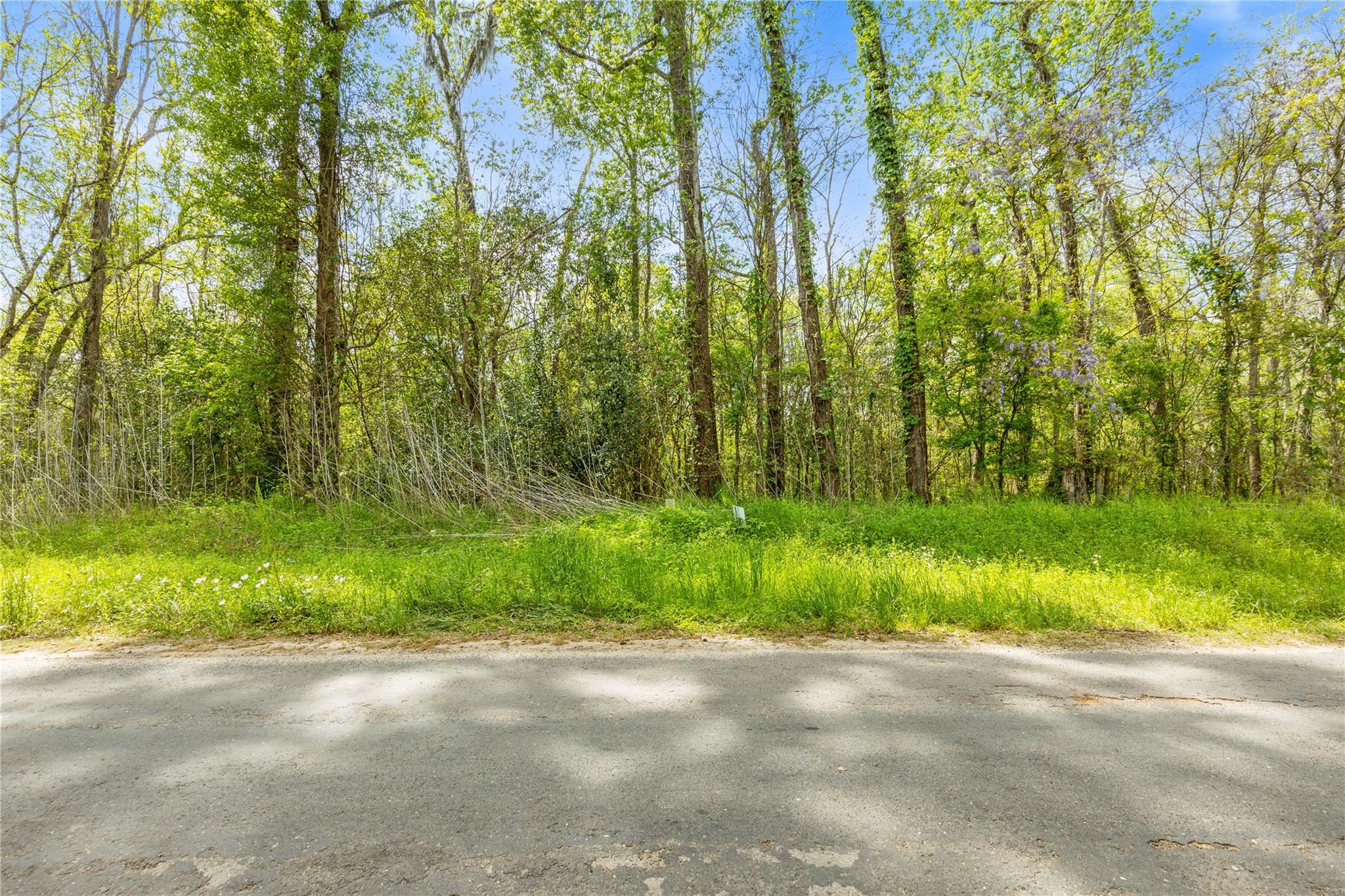 TBD County Road 2859 Phantom Drive